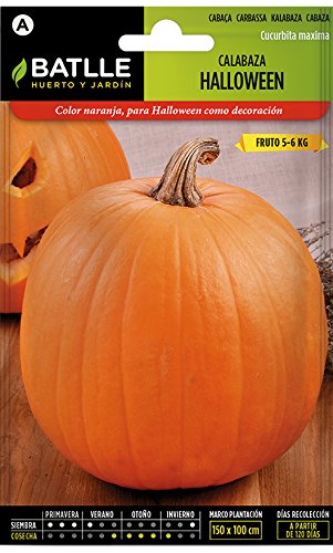 Semillas Hortícolas - Calabaza Halloween - Batlle Semillas Hortícolas - Calabaza Halloween - Batlle