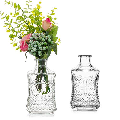 Sziqiqi 2 Piezas de Jarrón de Vidrio para Flores 17cm Transparente Elegante en Relieve Flores de Vidrio en Relieve Jarrón Botella para Mesa Centro de Mesa Decoración Sala de Estar Hogar Boda Evento