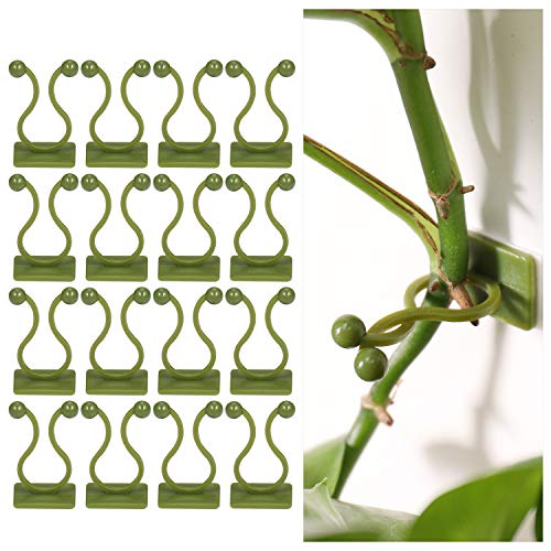 100Pcs Soporte de Plantas Trepadoras Autoadhesivo, Duradero Clips para Plantas de Jardín, Clips de Fijación de Plantas Trepadoras para Vid Verde, Decoración de Plantas Pared, Ganchos de Planta 100Pcs Soporte de Plantas Trepadoras Autoadhesivo, Duradero Clips para Plantas de Jardín, Clips de Fijación de Plantas Trepadoras para Vid Verde, Decoración de Plantas Pared, Ganchos de Planta