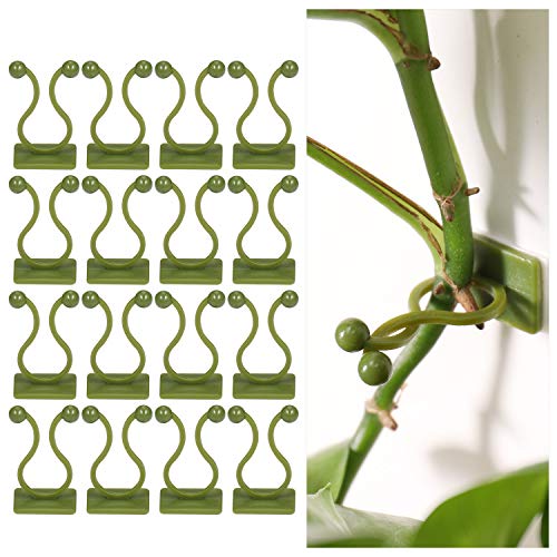 100Pcs Soporte de Plantas Trepadoras Autoadhesivo, Duradero Clips para Plantas de Jardín, Clips de Fijación de Plantas Trepadoras para Vid Verde, Decoración de Plantas Pared, Ganchos de Planta