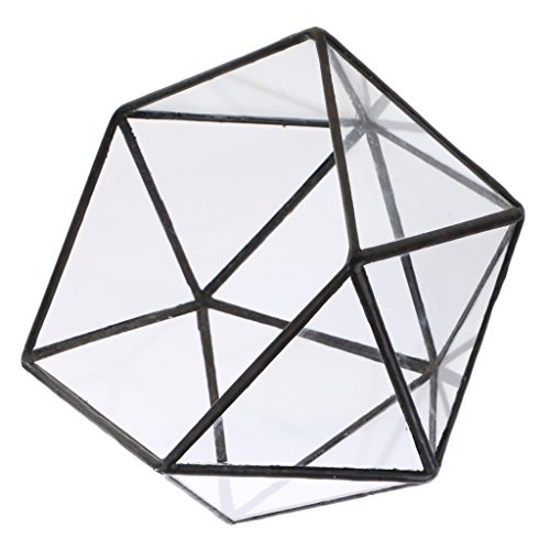 B Blesiya Caja De Terrario Geométrico De Vidrio Transparente Maceta Suculenta Maceta Decoración De Fiesta En Casa - Negro, 17 x 17 x 17cm
