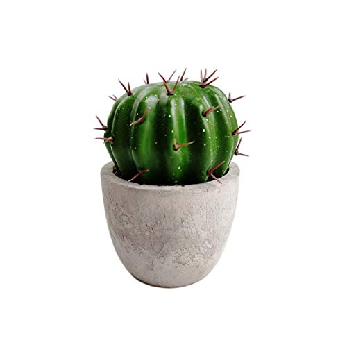 Bola artificial Cactus Macetas mini plantas de plantas falsas Artificial Prickly Pear en macetas con plantas lindas Cactus bulboso, estilos naturales y simples para la decoración de la oficina en casa
