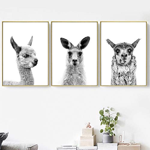 Conjunto de 3 piezas de canguro alpaca pintura de arte en blanco y negro oficina café lugar de ocio decoración del hogar pintura   sin marco
