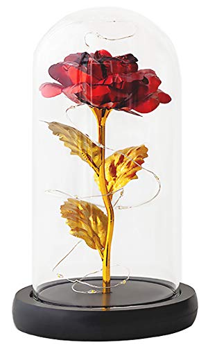 Cupula Cristal Rosa Eterna, ZoneYan Bella y Bestia Rose Kit, Rosa Eterna con Luces LED, para Regalos para Esposa, Novia, Cumpleaños, día de la Madre, Aniversario de Boda, día de San ValentÍN Cupula Cristal Rosa Eterna, ZoneYan Bella y Bestia Rose Kit, Rosa Eterna con Luces LED, para Regalos para Esposa, Novia, Cumpleaños, día de la Madre, Aniversario de Boda, día de San ValentÍN