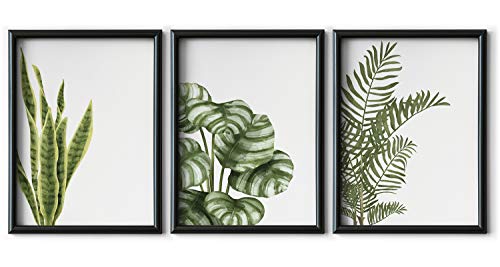 DONLETRA® Set de 3 Láminas Decorativas Nórdicas de Hojas de Plantas para Enmarcar - A3 A4 - Decoración de Pared - Cuadros Modernos en Lienzo sin Marco, LSM-SET3-004 (A4)