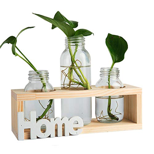 Floreros cilíndricos de vidrio, jarrón de vidrio para escritorio, bombilla con soporte de madera maciza retro para plantas hidropónicas