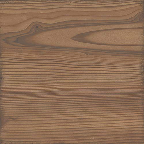 Nais Cerámica para suelos y paredes Colección Woodland (20x20 cm) - Caja de 1 m2 (25 pzas), Honey