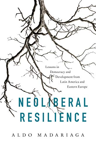 Neoliberal Resilience: Lessons in Democracy and Development from Latin America and Eastern Europe (English Edition)