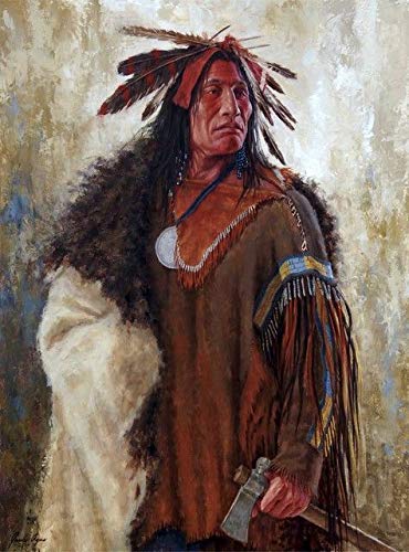 Pintura por Números para Adultos y niños Pintar Diy al óleo de Bricolajecon Marco Personalizado Kit Pinceles Retratos de mujer india nativa americana Principiantes Lienzo Decoraciones 40X50CM