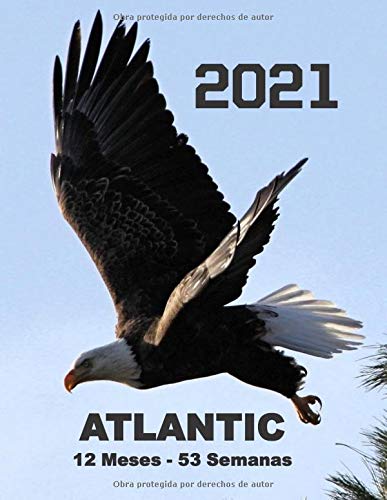 planificador mensual y semanal 2021, tema: Águila: Planificador 2021: de enero a diciembre de 2021. 124 páginas - 21,59 x 27,94 cm (8,5 "x 11"); 12 ... Funda para amantes de la vida salvaje.