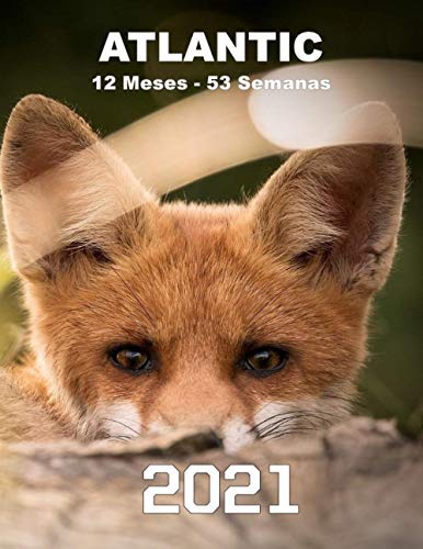 planificador mensual y semanal 2021, tema: Zorro: Planificador 2021: de enero a diciembre de 2021. 124 páginas - 21,59 x 27,94 cm (8,5 "x 11"); 12 ... Funda para amantes de la vida salvaje.