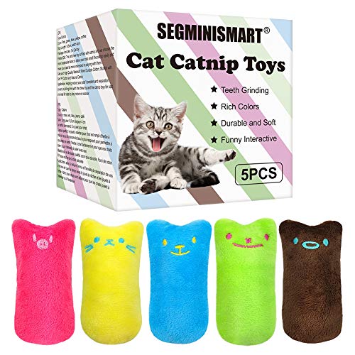 SEGMINISMART Hierba Gatera Juguete, Juguetes del Catnip, Interactivos para Gatos, Dientes para Masticar limpios, Juguete de gatol para Todos los Gatos y Gatitos Adecuado