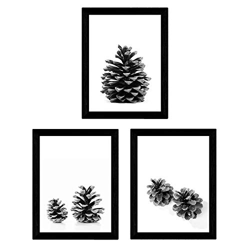 Set de 3 láminas de piñas de arbol pino en tamaño A4, en blanco y negro . Sin Marco
