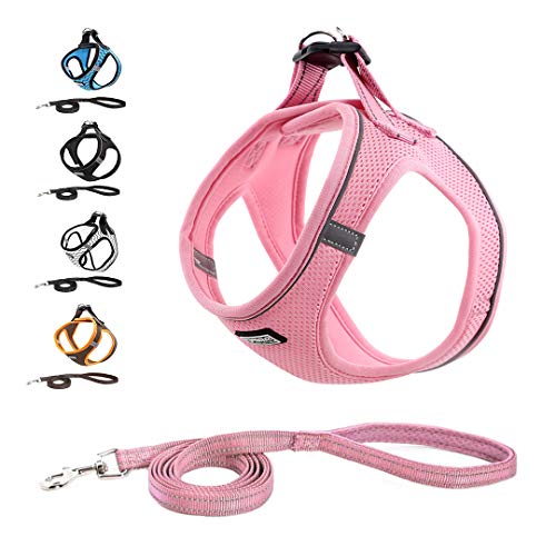 Suredoo Arnés Perro Pequeños Arnés Antitirones Reflectante Cómodo Transpirable Arneses Chaleco para Cachorros, Perros Pequeños y Gatos (S, Rosa) Suredoo Arnés Perro Pequeños Arnés Antitirones Reflectante Cómodo Transpirable Arneses Chaleco para Cachorros, Perros Pequeños y Gatos (S, Rosa)