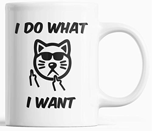 Taza divertida con diseño de gato con texto en inglés "I Do What I Want Unique Ceramic Novedad para hombres y mujeres, 12 onzas Coworker cumpleaños taza de café