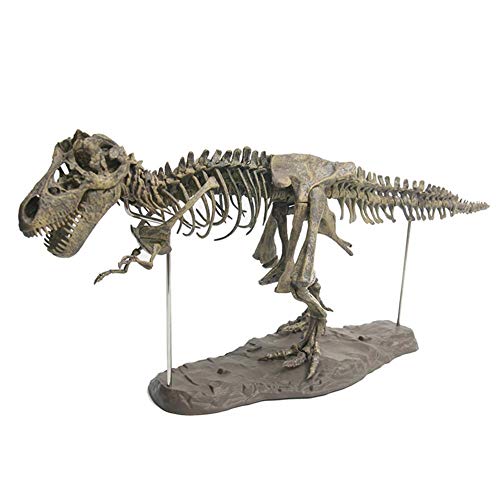 4D Montaje del Esqueleto de Dinosaurio Kit de Excavación de Esqueletos de Dinosaurio Esqueleto Fósil de Tiranosaurio PVC Juguetes de Niños Modelo Animal Simulado