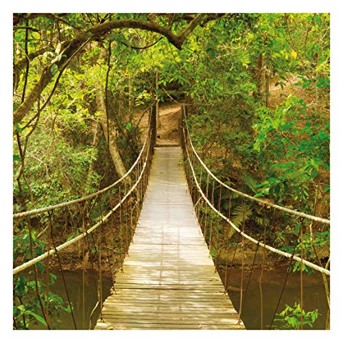 Bilderwelten Fotomural Premium - Jungle bridge - Mural cuadrado papel pintado fotomurales murales pared papel para pared foto 3D mural pared barato decorativo, Dimensión Alto x Ancho: 336cm x 336cm