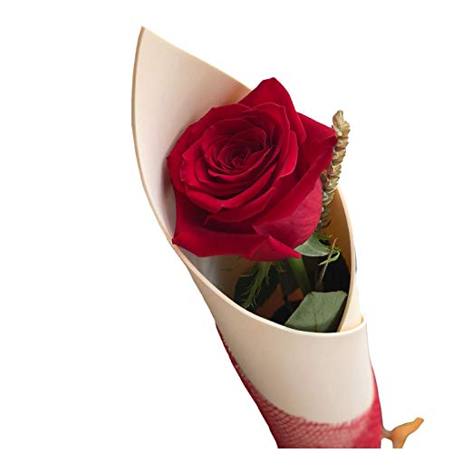 Botanic Dessign - Rosa roja de Sant Jordi ENTREGA EL DÍA DE SANT JORDI Elegante diseño de rosa natural de Sant Jordi para ramo de flores montada en cono.