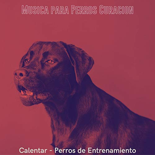 Calentar (Musica) Calentar (Musica)