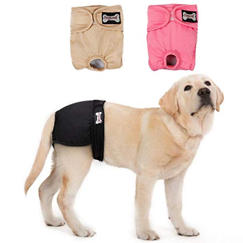 Doglemi Pañales lavables para perros y mujeres [3 unidades], bragas higiénicas para perros en calor, 5 tamaños disponibles (S: 23-34cm)