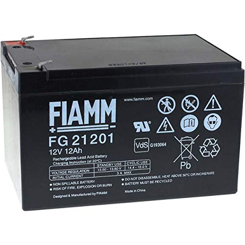Fiamm FG21202 - Batería de plomo ácido, 12 Ah, 12 V