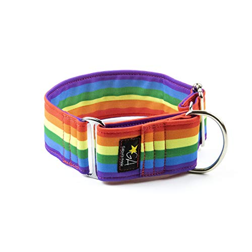 Galguita Amelie 4cm Ancho Talla L (40cm - 49cm), Collar para Perro antiescape. Arcoiris.