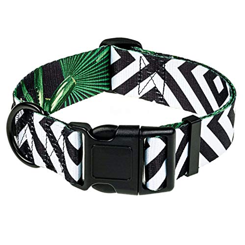 HAVNBERG Collar ancho para perros medianos en talla M. Circunferencia del cuello 33,0 cm – 51,0 cm, ancho 2,5 cm. HAVNBERG Collar ancho para perros medianos en talla M. Circunferencia del cuello 33,0 cm – 51,0 cm, ancho 2,5 cm.