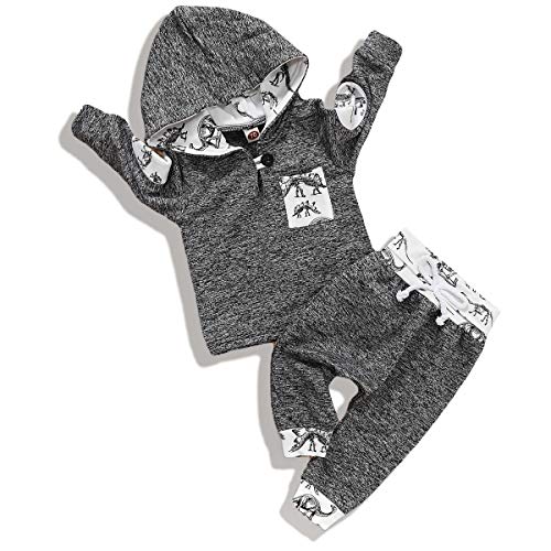 Qiraoxy Conjunto de 2 piezas con capucha para bebé de manga larga para otoño e invierno (pantalones de camisa (color gris)