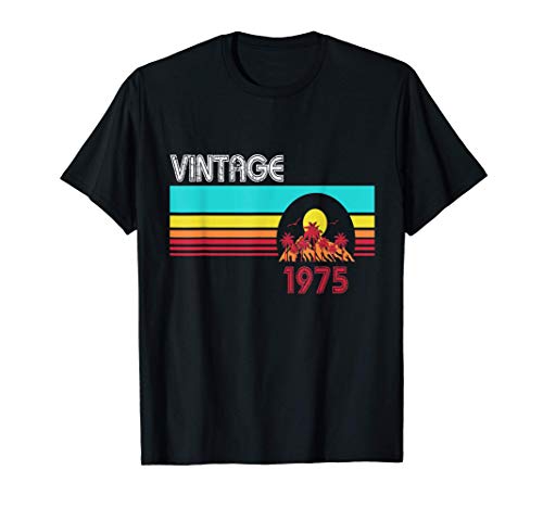 Regalo por 45 años de antigüedad Playa Vintage 1975 45 cumpl Camiseta