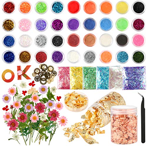 Sntieecr 81 PCS Kit de decoración de accesorios de resina con brillo, escamas de Mylar, flores secas, escamas de lámina de oro y pinzas para el arte de uñas y la decoración artesanal de baba