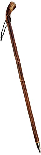 The Walking Stick Company - Pomo de madera de castaño con raíz, diseño rústico y grueso, 46 pulgadas
