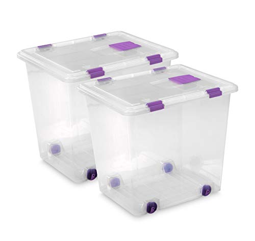 TODO HOGAR - Caja Plástico Almacenaje Grandes Multiusos con Ruedas - Medidas 510 x 410 x 460 - Capacidad de 70 litros (2)