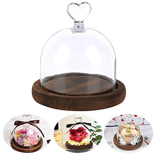 UFLF Cúpula Cristal Campana Cristal con Base Madera para DIY Rosas Preservadas San Valentín Decoración Hogar Manualidad Artesanía Bricolaje Regalos