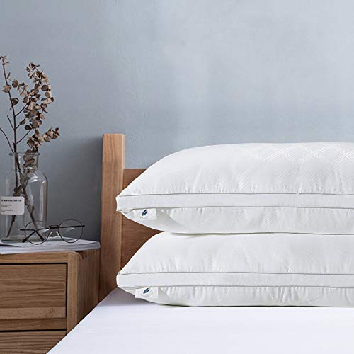 viewstar Almohadas Antiácaros, Pack de 2 Almohadas 100% Microfibra-Firmeza Media, Certificada por Oeko-Tex 80x40cm viewstar Almohadas Antiácaros, Pack de 2 Almohadas 100% Microfibra-Firmeza Media, Certificada por Oeko-Tex 80x40cm