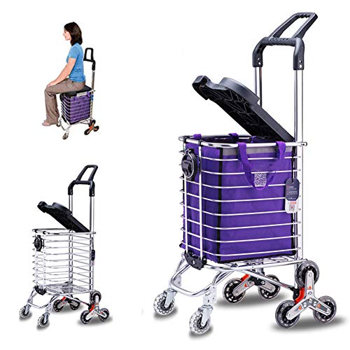 AIMCAE Carritos de la Compra Plegables Carro de la Compra con Asiento y portavasos, Bolsa Desmontable de Lona, Ideal para Personas Mayores