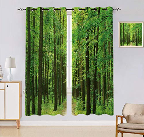 Cortinas hechas a medida, diseño de paisaje bosque, bosque, bosque, 2 paneles, 2 paneles, cada panel de 152 cm de ancho x 222 cm de largo, color verde oliva oscuro
