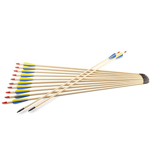 Hamimelon 12 Flechas de Madera para Tiro con Arco Recurvo Longbow para Práctica Puntería de Tiro Punta de Acero Asta de Madera, Hecho de Mano (84cm Largo) Hamimelon 12 Flechas de Madera para Tiro con Arco Recurvo Longbow para Práctica Puntería de Tiro Punta de Acero Asta de Madera, Hecho de Mano (84cm Largo)