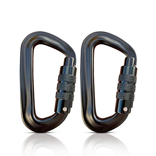 Holesto - Juego de 2 mosquetones con mosquetón para coche, capacidad de carga: 500 kg, para hamacas, camping, senderismo, pesca, llavero, etc., color negro Holesto - Juego de 2 mosquetones con mosquetón para coche, capacidad de carga: 500 kg, para hamacas, camping, senderismo, pesca, llavero, etc., color negro