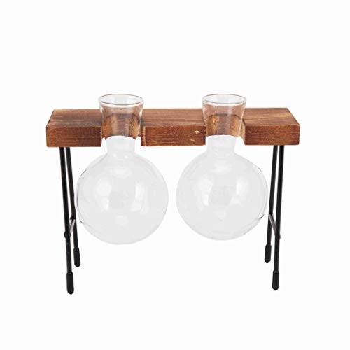 Iycorish Jarrón de cristal hidropónico con marco de madera transparente, para decoración de la sala de café, sala de comedor, mesa y escritorio (dos floreros)