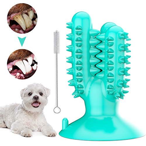 Mroobest Cepillo de Dientes Perro, Palo Juguete para Masticar, Limpiador Dientes Perros, Goma Natural de Larga duración, no tóxica, Cuidado Oral para Mascotas Regalo para el Amante de Las Mascotas Mroobest Cepillo de Dientes Perro, Palo Juguete para Masticar, Limpiador Dientes Perros, Goma Natural de Larga duración, no tóxica, Cuidado Oral para Mascotas Regalo para el Amante de Las Mascotas