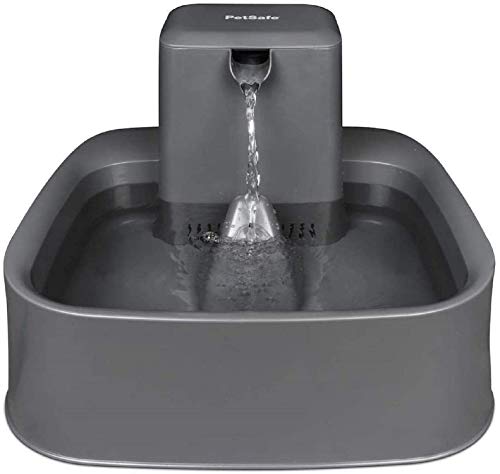Petsafe Fuente para Mascotas 1,8 litros Drinkwell De Petsafe - Ideal para Hogares con Perros Pequeños Y Gatos - Diseño Fácil De Limpiar - Filtro Incluido Petsafe Fuente para Mascotas 1,8 litros Drinkwell De Petsafe - Ideal para Hogares con Perros Pequeños Y Gatos - Diseño Fácil De Limpiar - Filtro Incluido