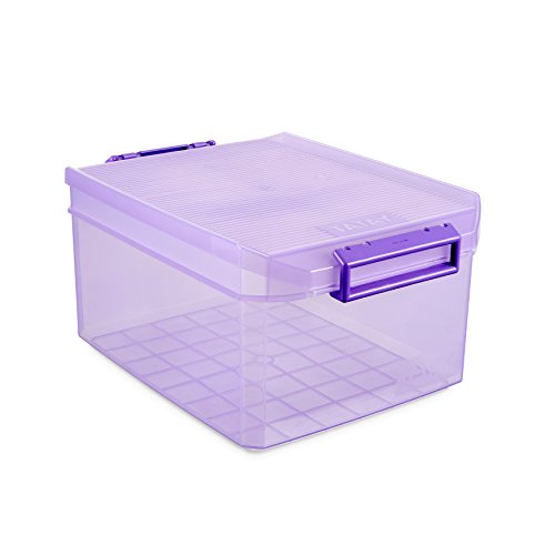 TATAY 1150113 - Caja de Almacenamiento Multiusos con Tapa, 14 l de Capacidad, Plástico Polipropileno Libre de BPA, Lila Translúcido, 27 x 39 x 19 cm