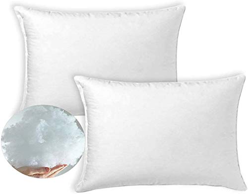 VIGIVISION Relleno cojin 2 Unidades - Relleno Suave y Esponjoso Que no se deforma - para Combinar con Cualquier Funda de cojín - Medidas cojin - 40x60cm VIGIVISION Relleno cojin 2 Unidades - Relleno Suave y Esponjoso Que no se deforma - para Combinar con Cualquier Funda de cojín - Medidas cojin - 40x60cm