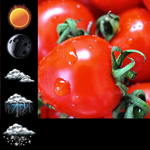 Widget de reloj de tomate suave