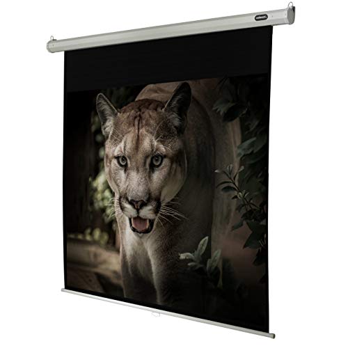 celexon manualmente Extensible Pantalla para Cine en casa y Negocios 4K y Full-HD Enrollable -Pantalla Economy - 220 x 124 cm - 100" - 16:9