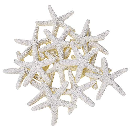 Cikuso 15 Piezas De Color Blanco Cremoso Lápiz Estrellas De Mar para Decoración De Bodas, Decoración del Hogar y Proyectos De Artesanía