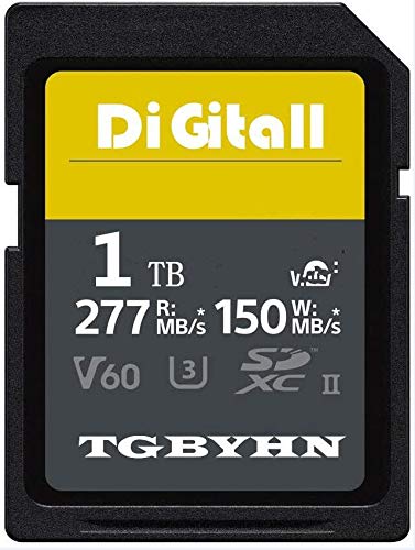 Digital Series - Tarjeta de memoria SDXC de tamaño grande, 1024 GB, 1 TB, UHS-II, memoria SD, V60, C10, U3, velocidad máxima 150 MB/S y 277MB/S (1024 GB)