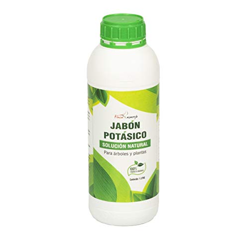 FINCA CASAREJO Jabón potásico de 1 litro - Solución Natural contra Las plagas - Fertilizante orgánico para árboles y Plantas FINCA CASAREJO Jabón potásico de 1 litro - Solución Natural contra Las plagas - Fertilizante orgánico para árboles y Plantas