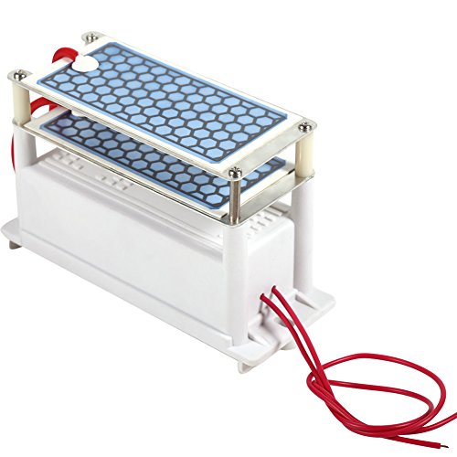 Generadores de ozono Doble esterilizador de Aire en cerámica ozoniseur de Aire Plana Generador portátil máquinas de la Ozone AC220 V
