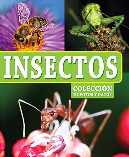 Insectos (Colección de fotos y datos)